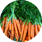 Carrots