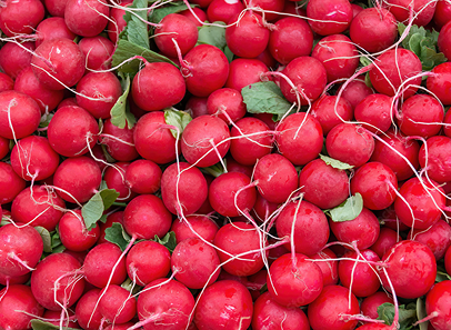 Radishes