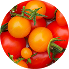 Tomatoes